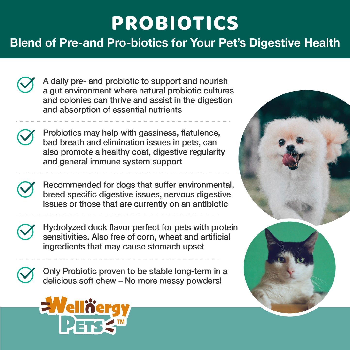 Travel Pack --PROBIOTICS for dogs and cats - SINGLE