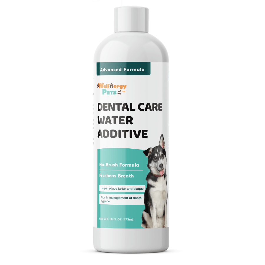 DENTAL CARE WATER ADDITIVE - dental water additive for dogs and cats
