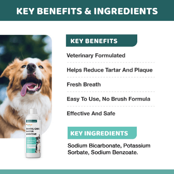 DENTAL CARE WATER ADDITIVE<br>dental water additive for dogs and cats Wellnergy Pets