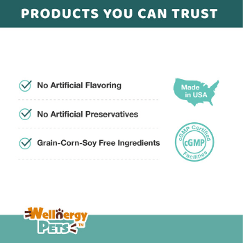 DENTAL CARE WATER ADDITIVE<br>dental water additive for dogs and cats Wellnergy Pets