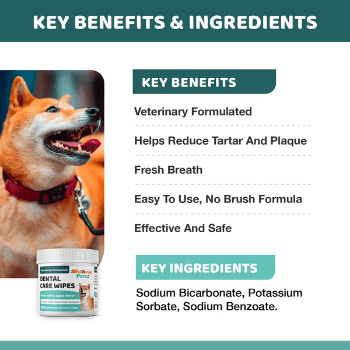 DENTAL CARE WIPES<br>dental wipes for dogs and cats Wellnergy Pets