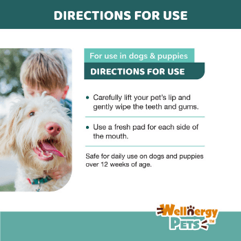 DENTAL CARE WIPES<br>dental wipes for dogs and cats Wellnergy Pets