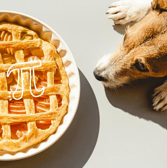 Bake a Pie for your Dog! It's National Pi Day! Wellnergy Pets