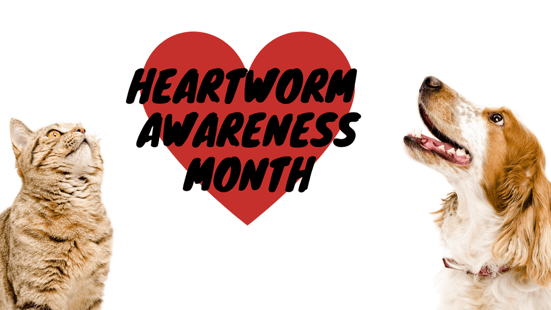 Heartworm Disease in Dogs: Scary but Preventable Wellnergy Pets