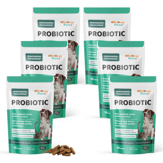 Travel Pack --PROBIOTICS for dogs and cats