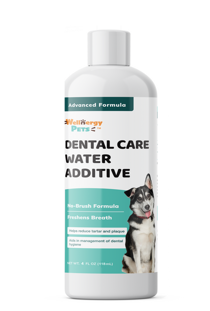 DENTAL CARE WATER ADDITIVE - dental care water additive for dogs and cats