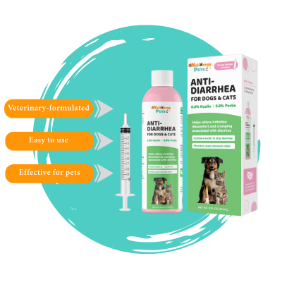 Anti Diarrhea