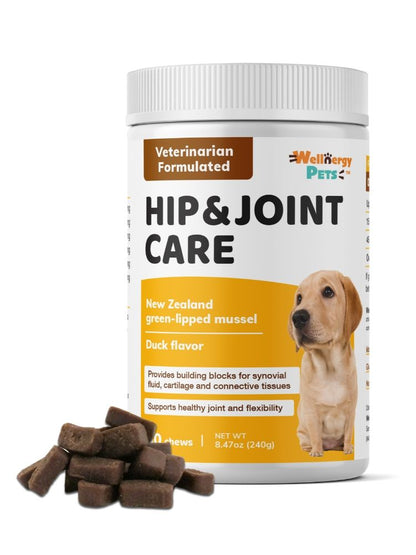 HIP & JOINT CARE - hip and joint supplement for dogs - 130 chews
