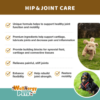 Hip & Joint Complete Care Combo Wellnergy Pets