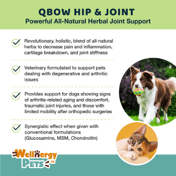 Hip & Joint Complete Care Combo Wellnergy Pets