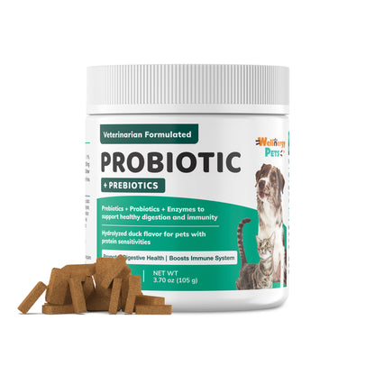 PROBIOTICS for dogs and cats - Wellnergy Pets