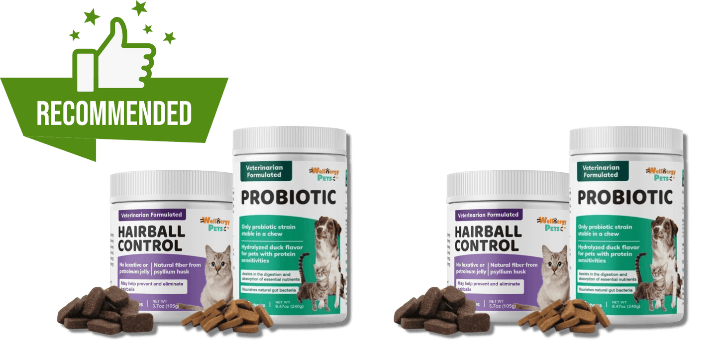 Essential Health Care Bundle for Cats - Wellnergy Pets