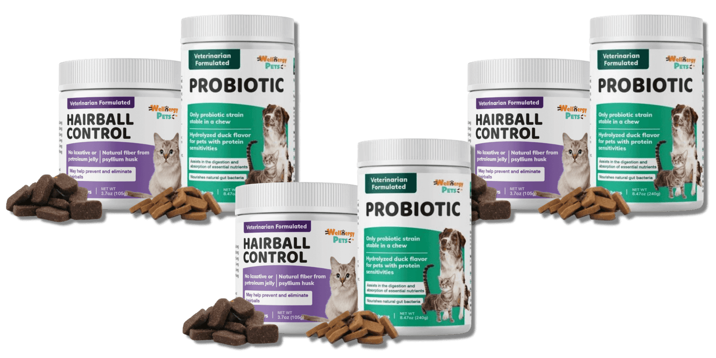 Essential Health Care Bundle for Cats - Wellnergy Pets