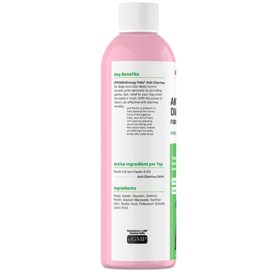 Anti diarrhea medicine for kittens hotsell