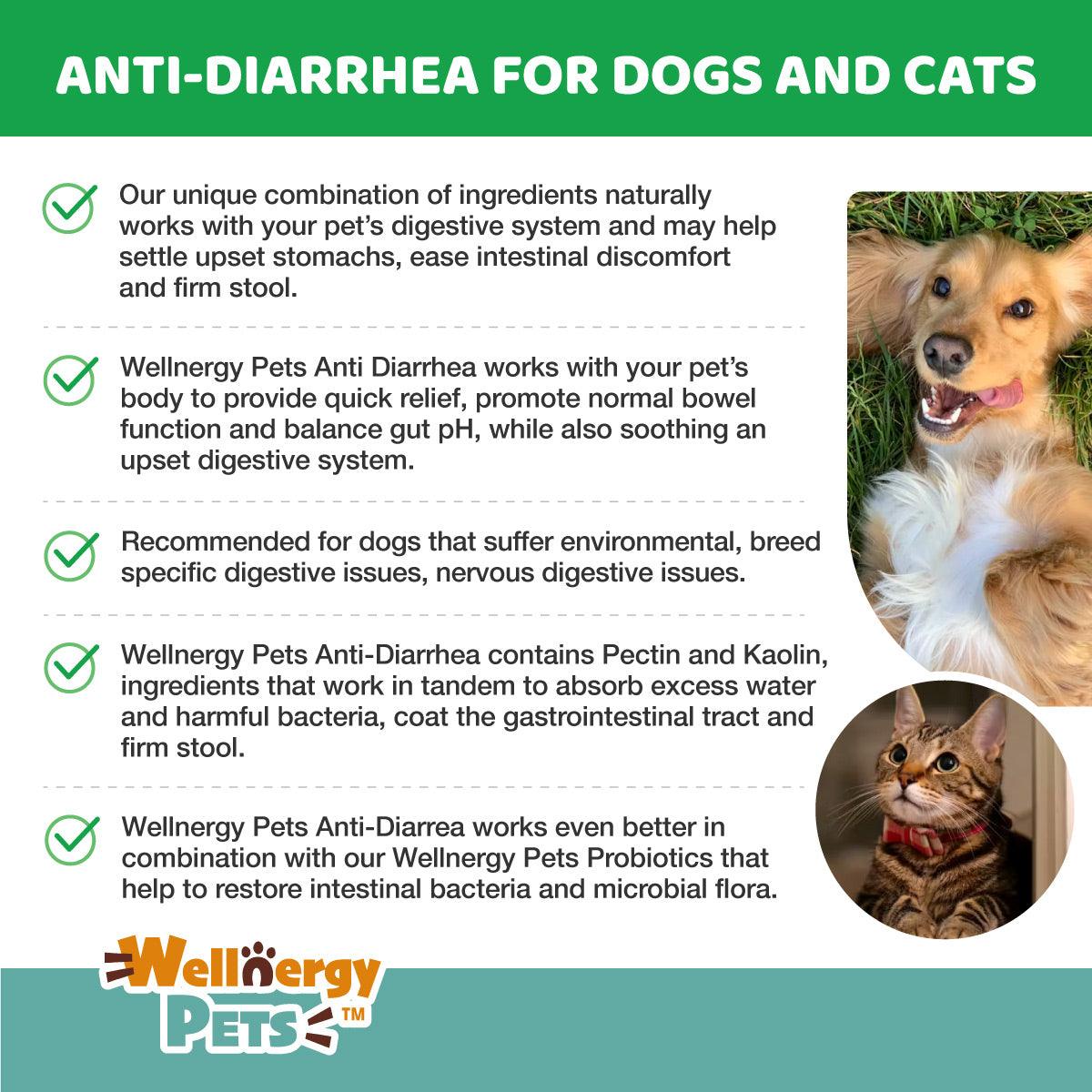 Anti-Diarrhea for Dogs and Cats  (Syringe included) Wellnergy Pets