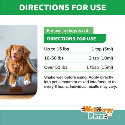 Anti-Diarrhea for Dogs and Cats  (Syringe included) Wellnergy Pets