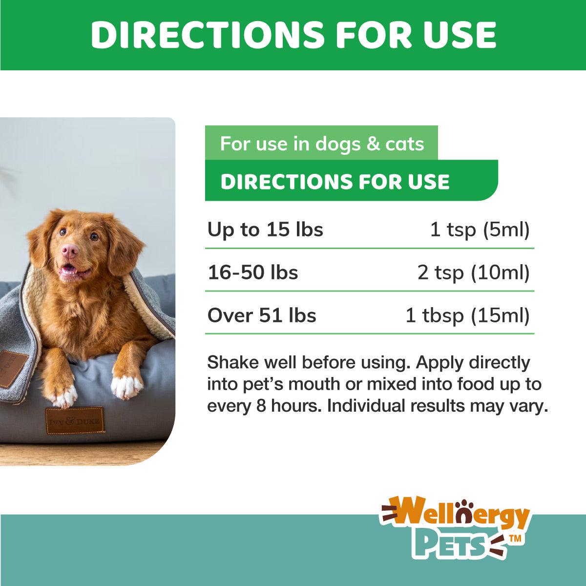 Anti-Diarrhea for Dogs and Cats (Syringe included) – Wellnergy Pets
