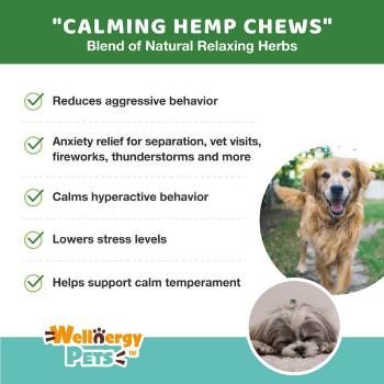 CALMING CHEWS WITH HEMP<br>calming chews with hemp for dogs (4 Travel Pack) Wellnergy Pets