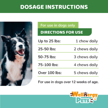 CALMING CHEWS WITH HEMP<br>calming chews with hemp for dogs (4 Travel Pack) Wellnergy Pets