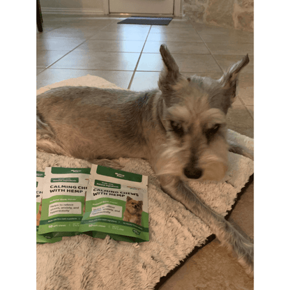 CALMING CHEWS WITH HEMP<br>calming chews with hemp for dogs (4 Travel Pack) Wellnergy Pets