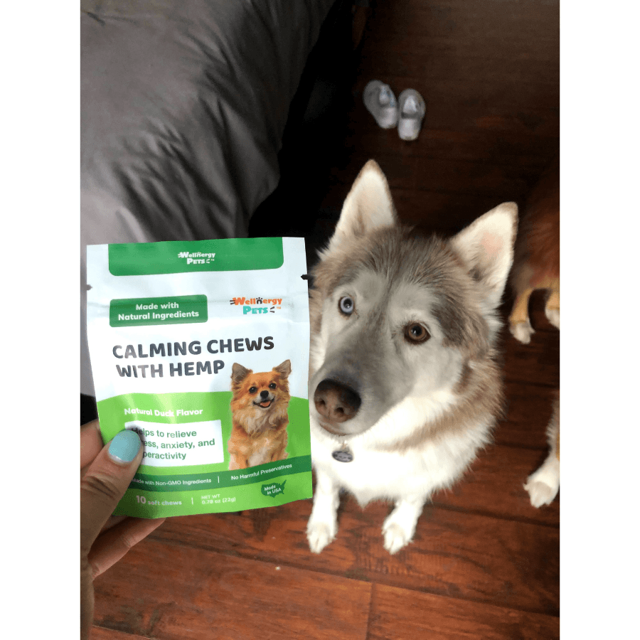 CALMING CHEWS WITH HEMP<br>calming chews with hemp for dogs (4 Travel Pack) Wellnergy Pets