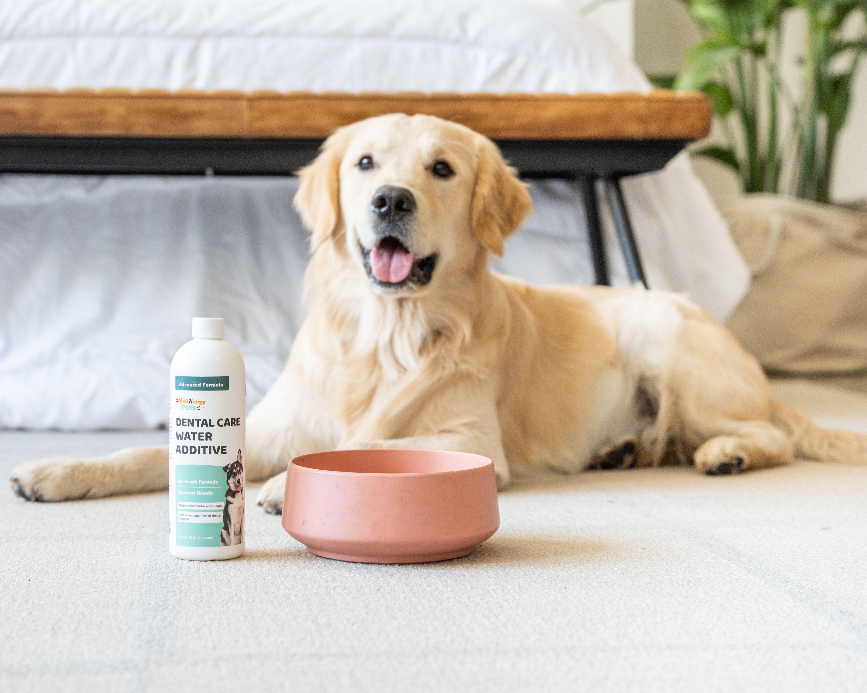 DENTAL CARE WATER ADDITIVE<br>dental water additive for dogs and cats Wellnergy Pets