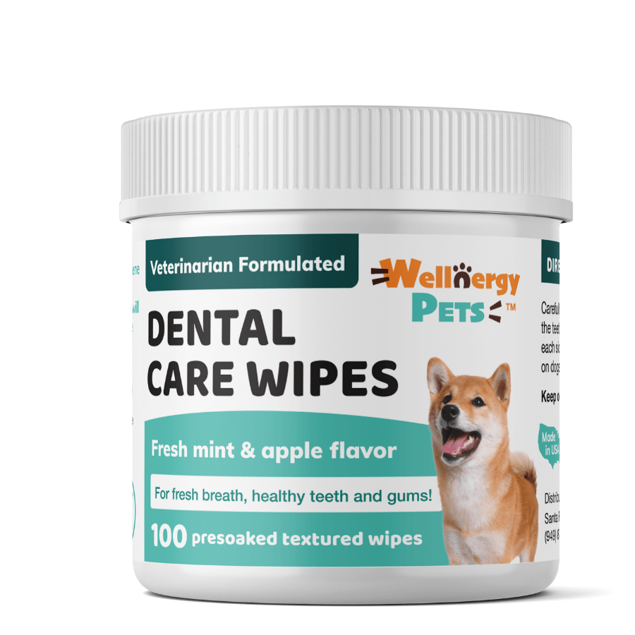 DENTAL CARE WIPES<br>dental wipes for dogs and cats Wellnergy Pets