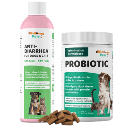 Anti diarrhea sales medicine for dogs