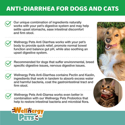 Diarrhea Remedy Combo Wellnergy Pets