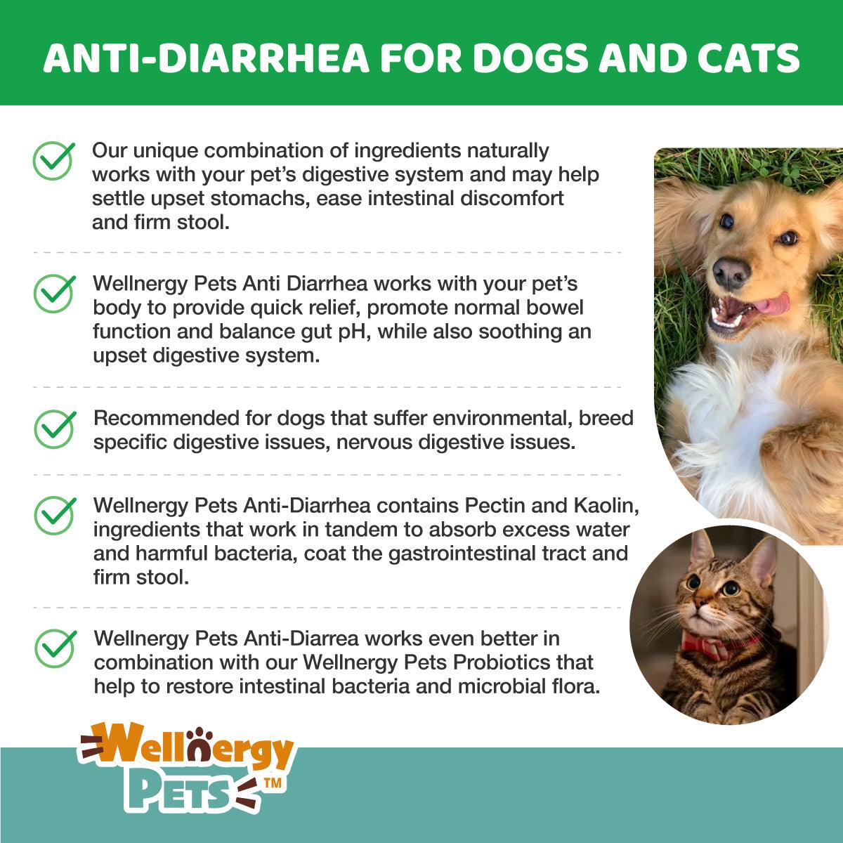 Diarrhea Symptoms Dog Watery Diarrhea Treatment Diarrhea Remedy