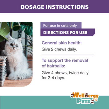 HAIRBALL CONTROL for cats Wellnergy Pets