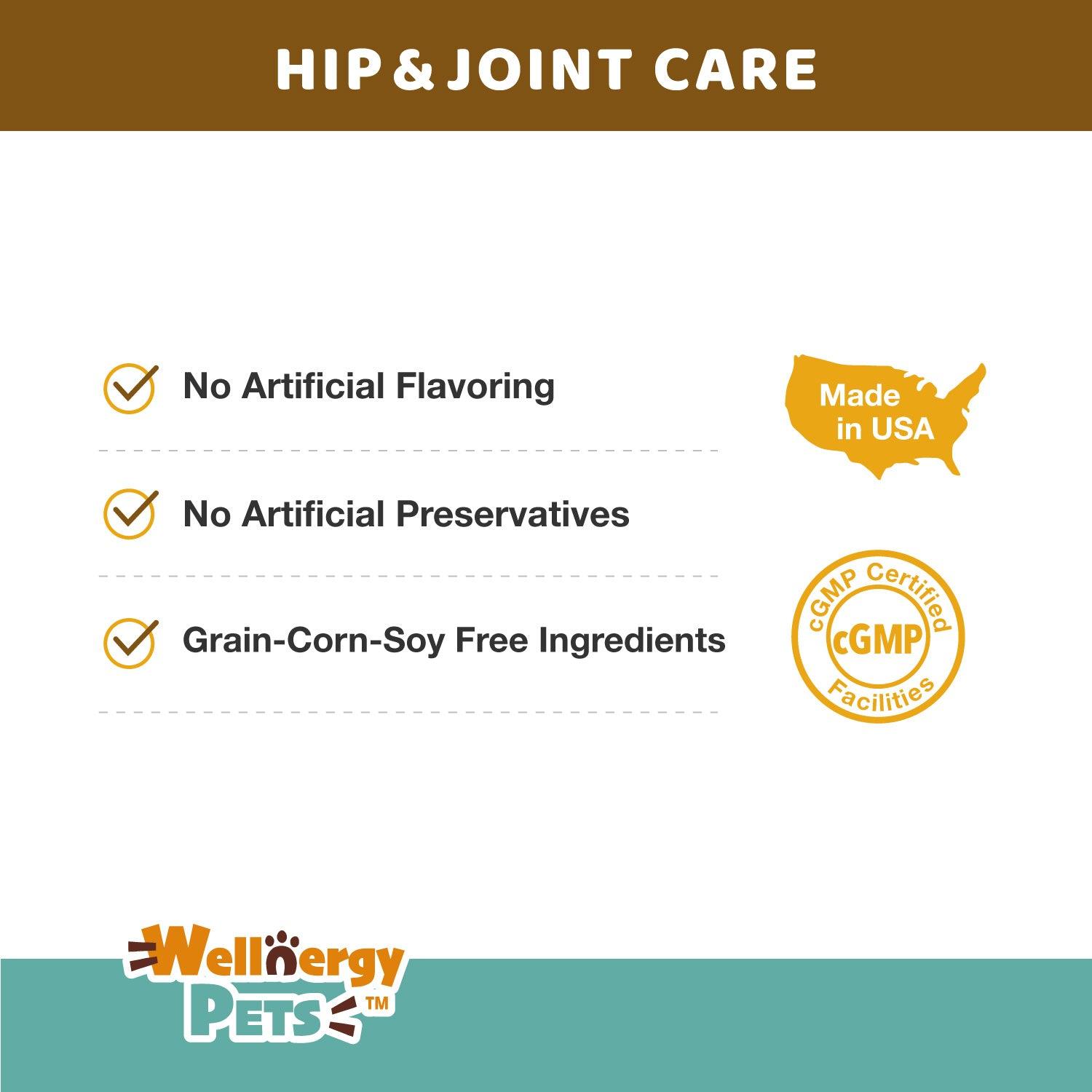 Hip & Joint Care for Cats and Small Dogs Wellnergy Pets