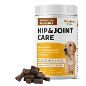 HIP & JOINT CARE<br>hip and joint supplement for dogs Wellnergy Pets
