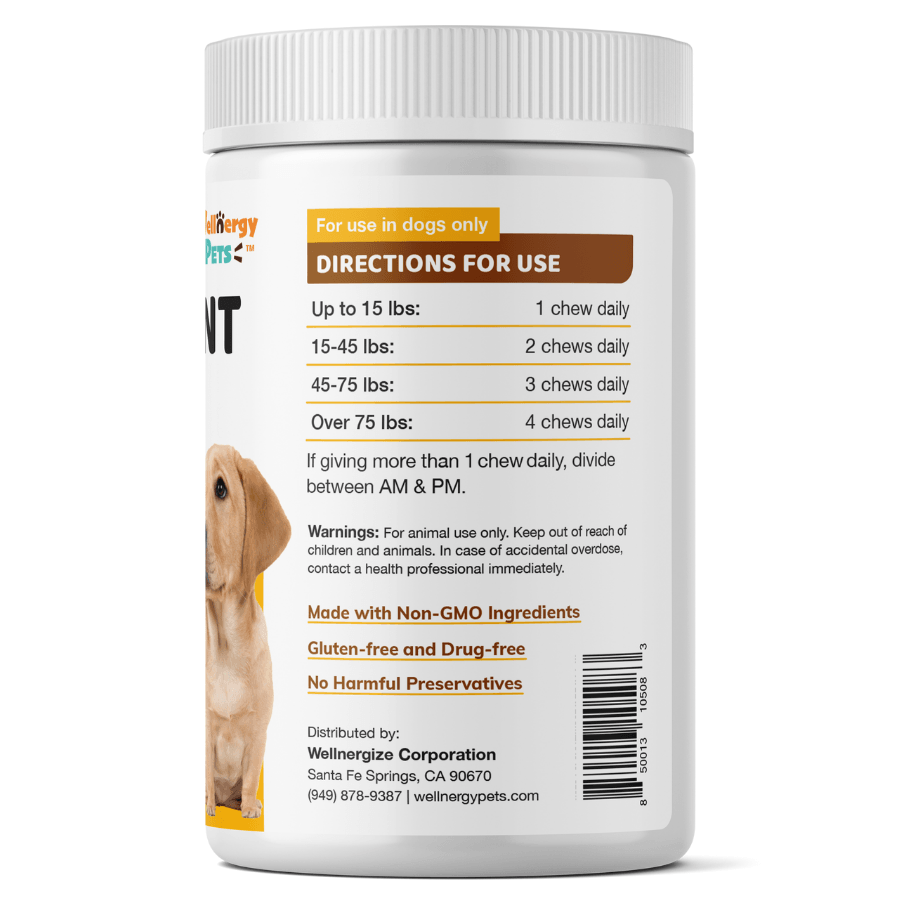 HIP & JOINT CARE<br>hip and joint supplement for dogs Wellnergy Pets