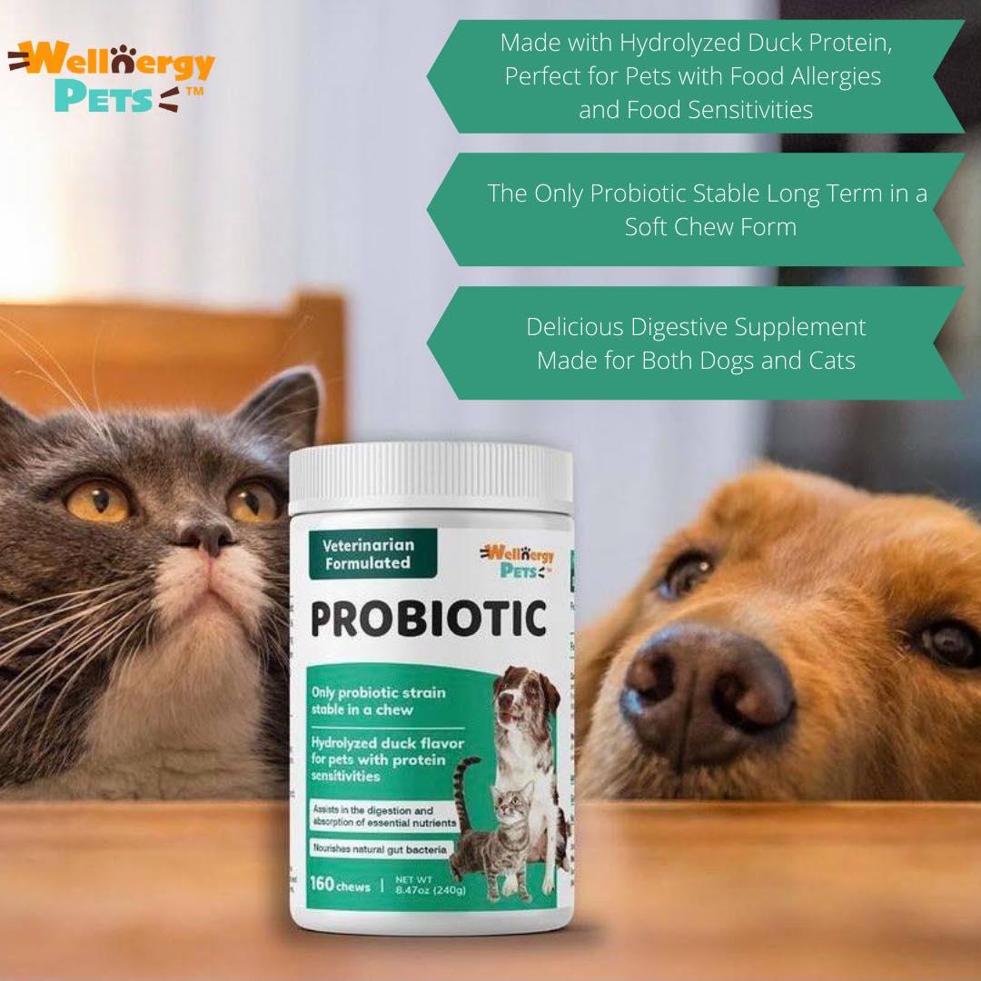 PROBIOTICS for dogs and cats Wellnergy Pets