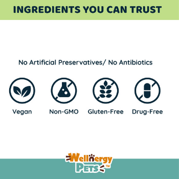 Vegan joint supplement for hot sale dogs