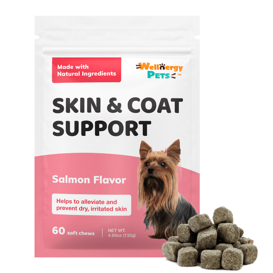 SKIN & COAT SUPPORT<br>skin and coat supplement for dogs Wellnergy Pets