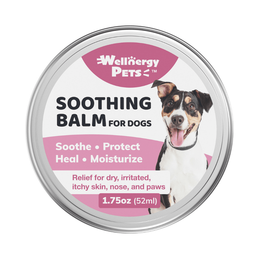 Soothing Balm for Dogs Wellnergy Pets