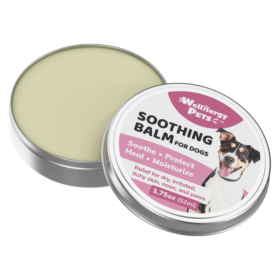 Soothing Balm for Dogs Wellnergy Pets
