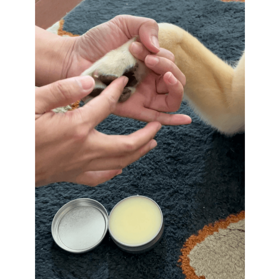 Soothing Balm for Dogs Wellnergy Pets