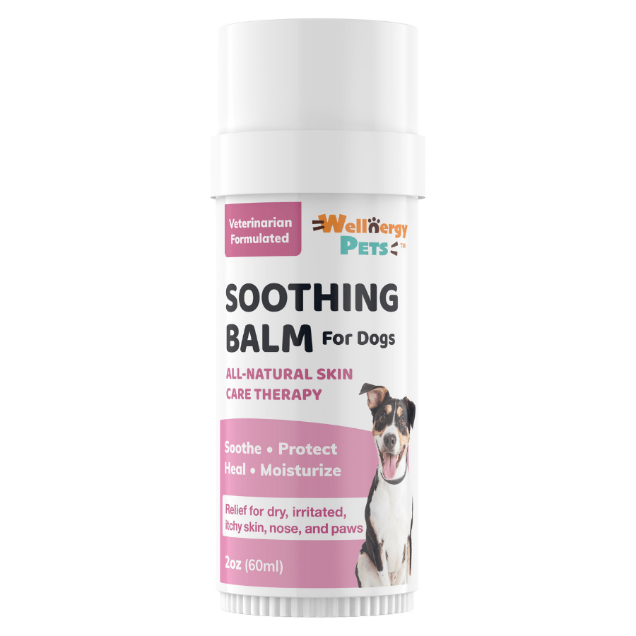 Soothing Balm Stick for Dogs Wellnergy Pets