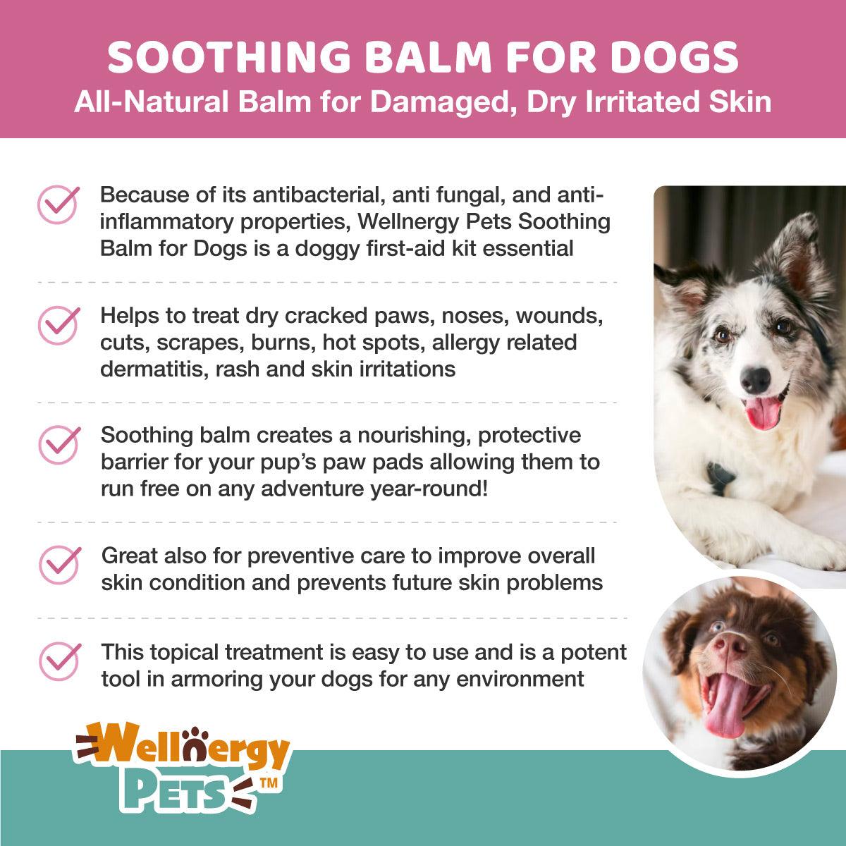 Soothing Balm Stick for Dogs Wellnergy Pets