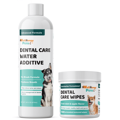 Wellnergy Pets Dental Care Combo for Dogs and Cats Wellnergy Pets