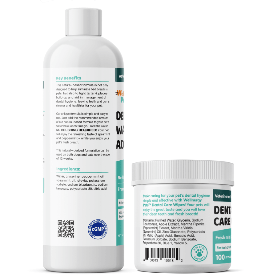 Wellnergy Pets Dental Care Combo for Dogs and Cats Wellnergy Pets