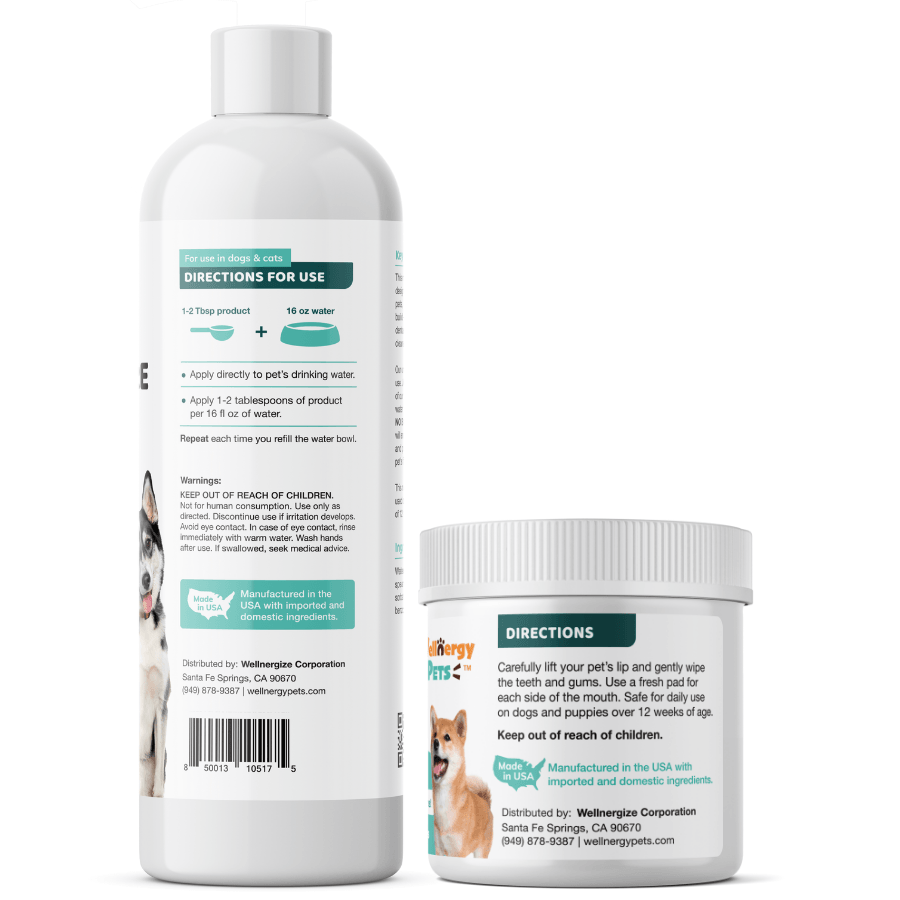 Wellnergy Pets Dental Care Combo for Dogs and Cats Wellnergy Pets